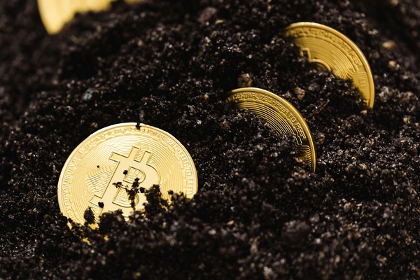 Gold crypto coins half buried in dark soil