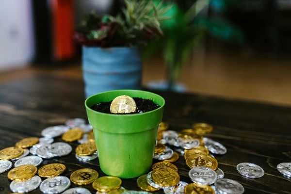 Crypto coin growing in a flower pot among coins